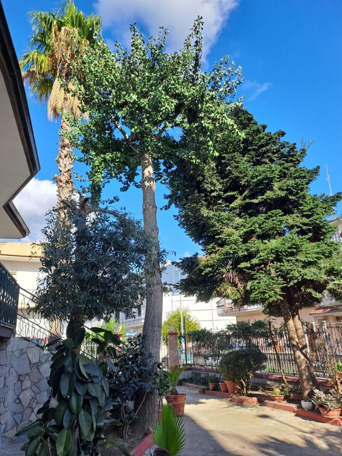 Apartamento A Casa Di Luigi 2 Mugnano di Napoli Exterior foto